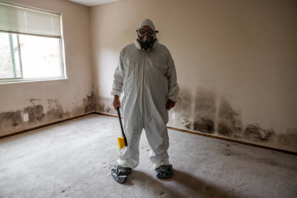 Best Asbestos and Lead Testing During Mold Inspection  in Old River Winfree, TX